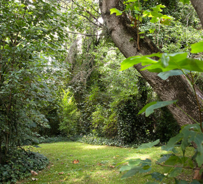 Blackheath Accommodation Gardens